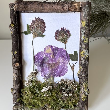 Rustic Cottage Core Natural Country Style Pressed Flower & Moss Art