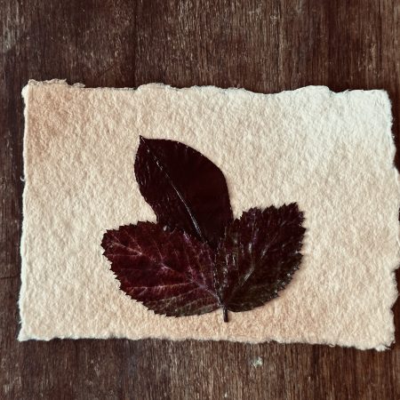 Landscape Autumn Themed Red 3-leaf collage Vintage Style