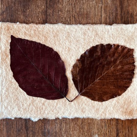 Landscape Autumn Themed 2-Leaf Red Vintage Collage