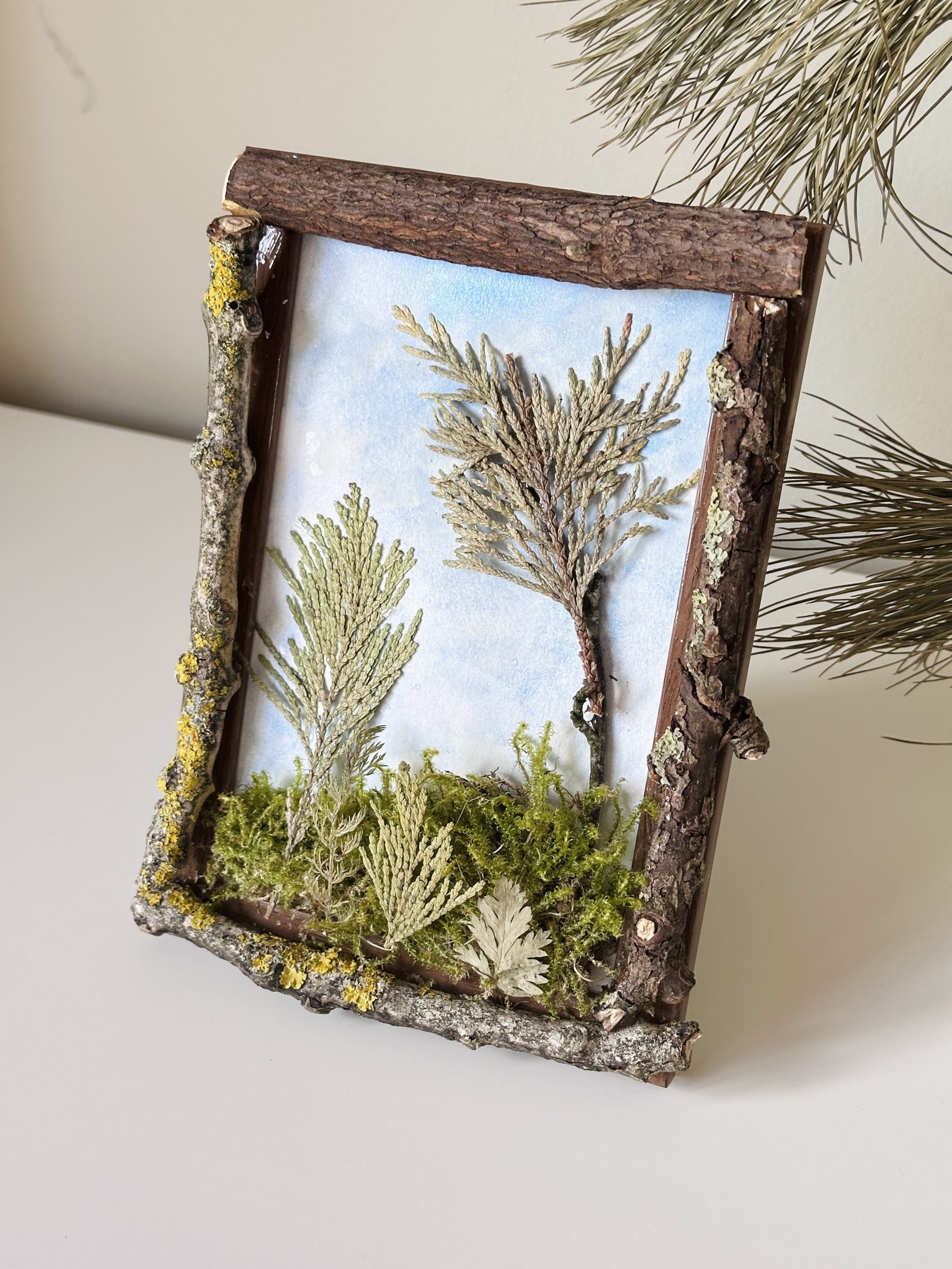 Rustic Country Style Hill Themed Framed moss and Foliage Art